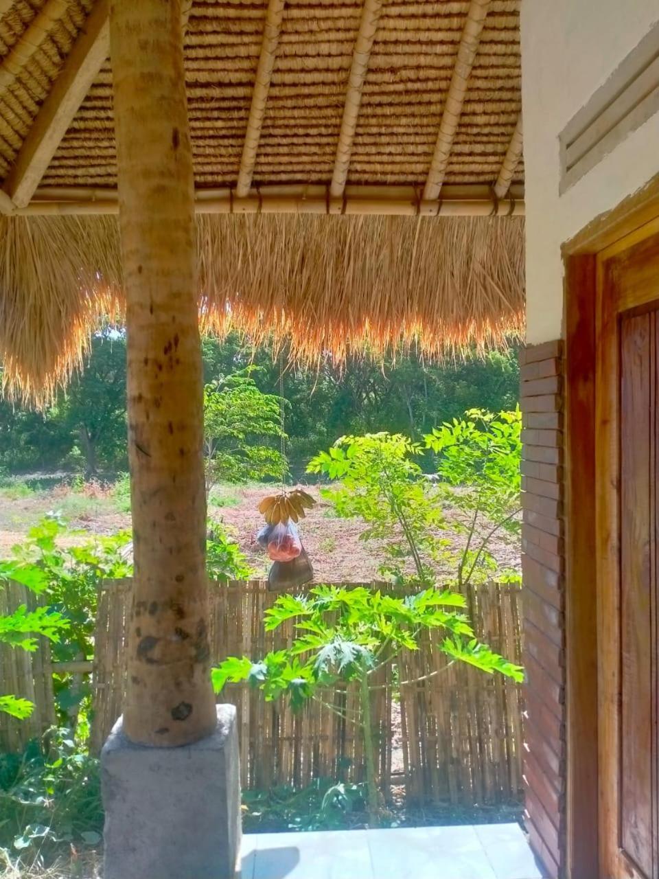 Melody Surf - Ekas Lombok Hotel Bagian luar foto