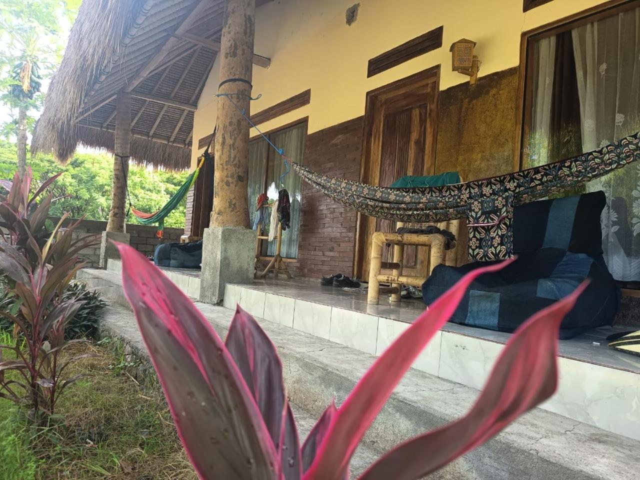 Melody Surf - Ekas Lombok Hotel Bagian luar foto