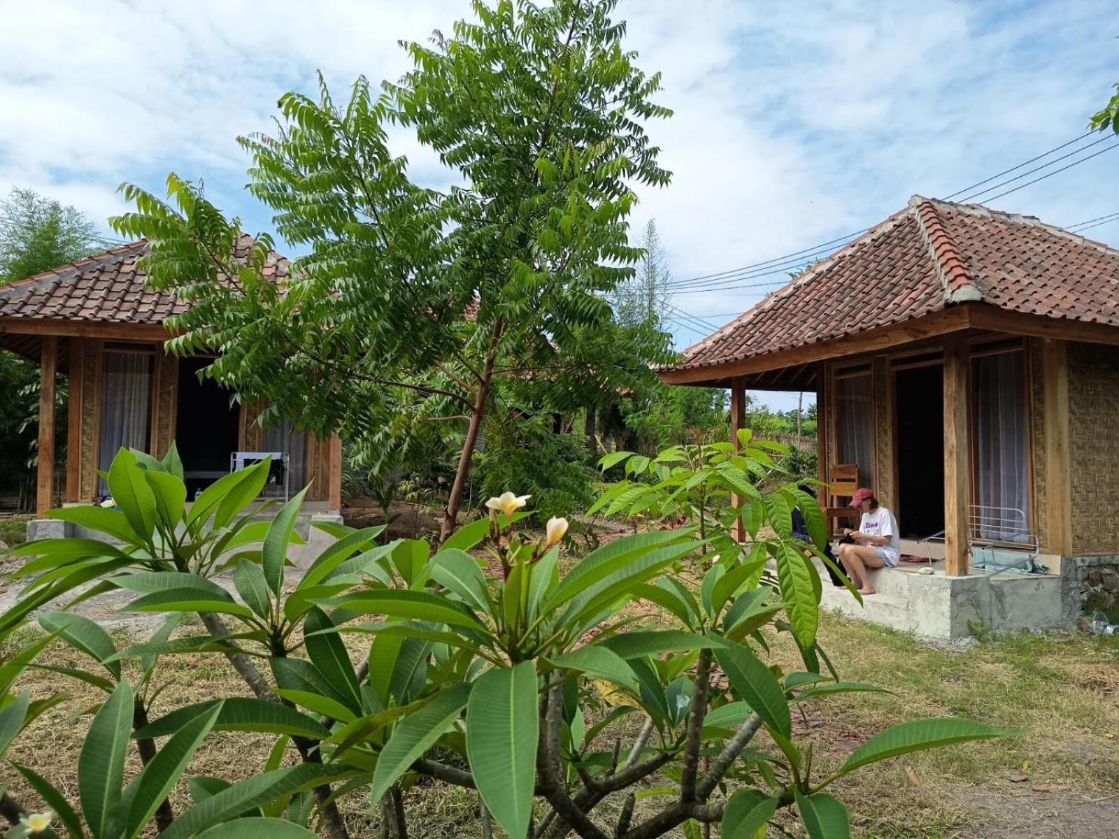 Melody Surf - Ekas Lombok Hotel Bagian luar foto