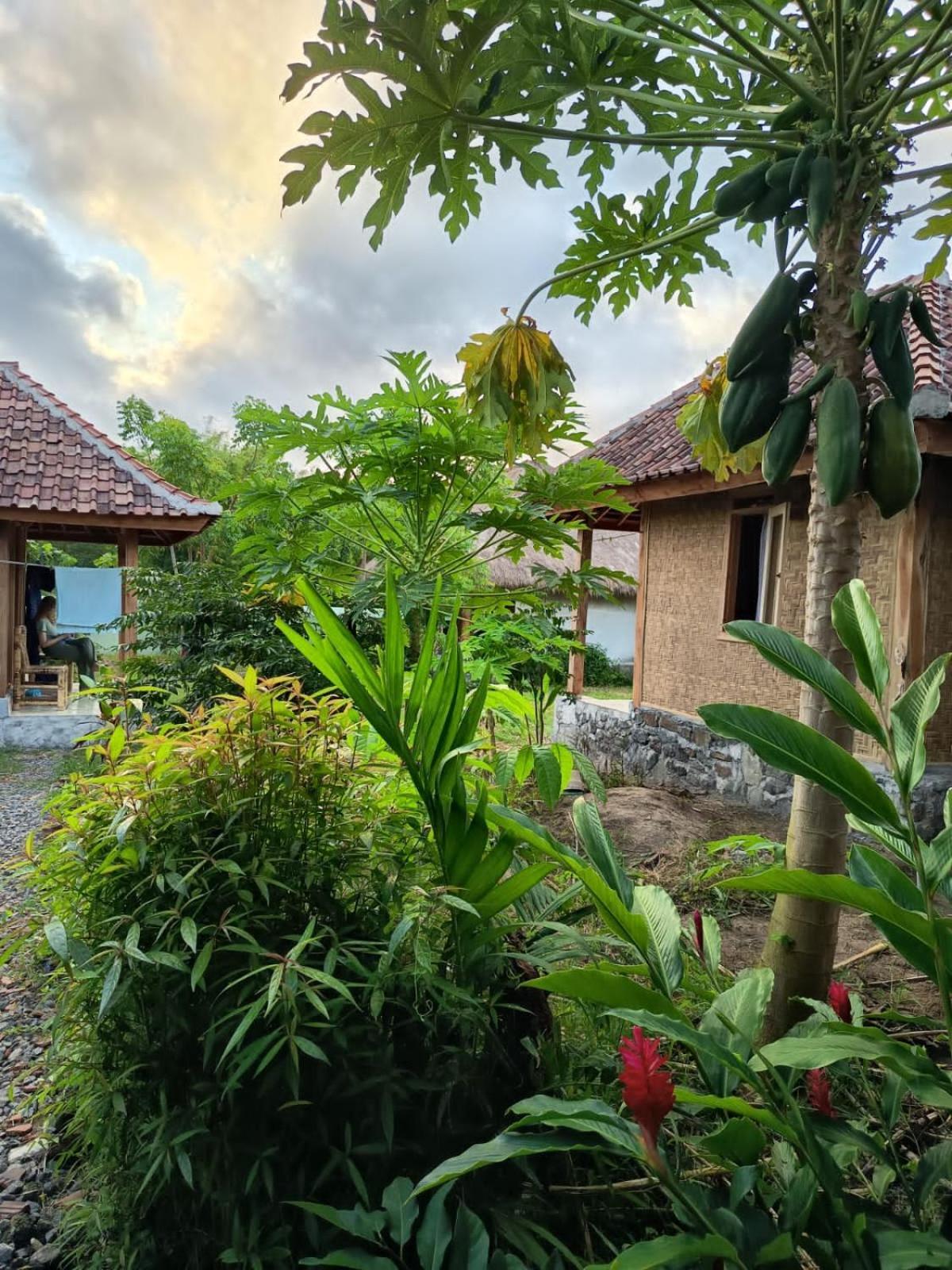 Melody Surf - Ekas Lombok Hotel Bagian luar foto