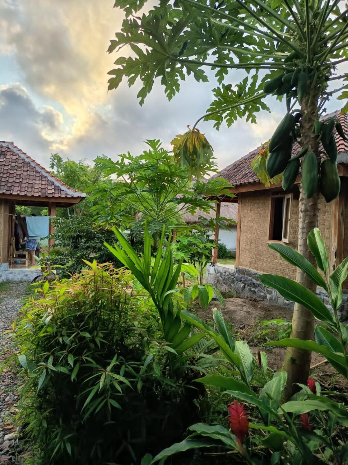 Melody Surf - Ekas Lombok Hotel Bagian luar foto